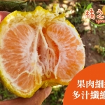 等級25A-橘之緣-東勢椪柑